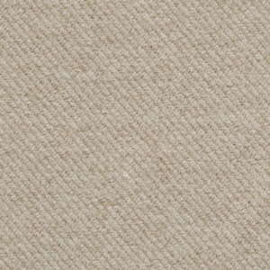 ARAN-01
