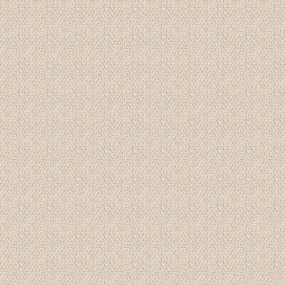 PLAIN 12