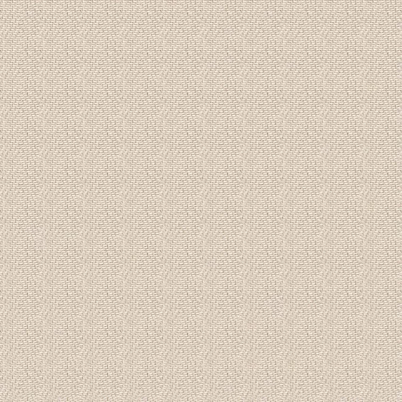 PLAIN 12