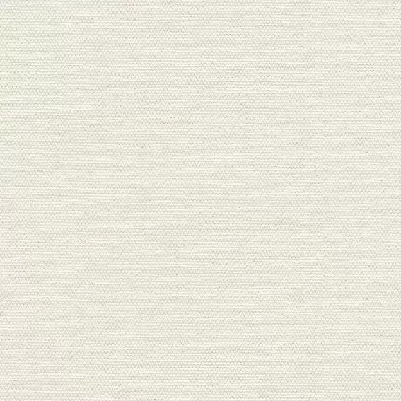 PLAIN 14
