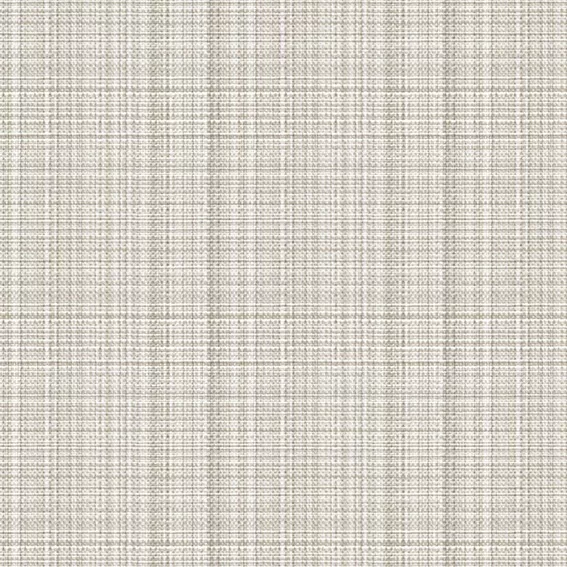 PLAIN 15