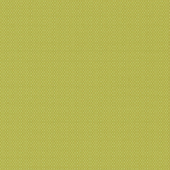 PLAIN 16