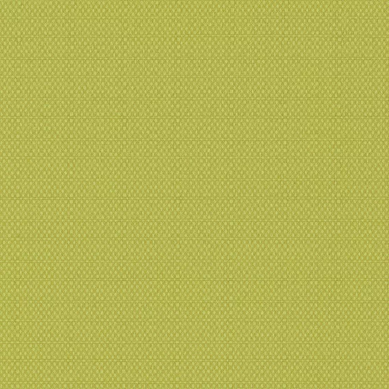 PLAIN 16