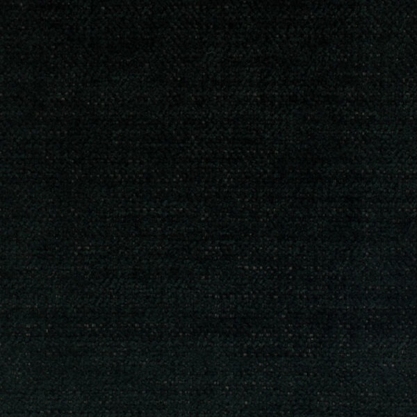 MOWANI-19