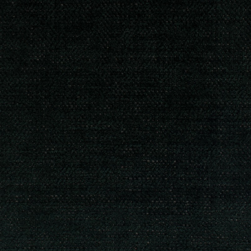 MOWANI-19