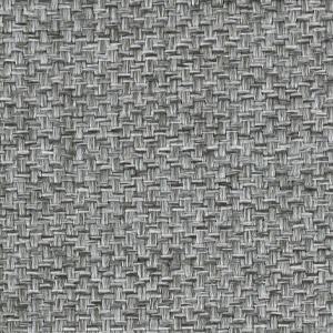 ROCCO-29