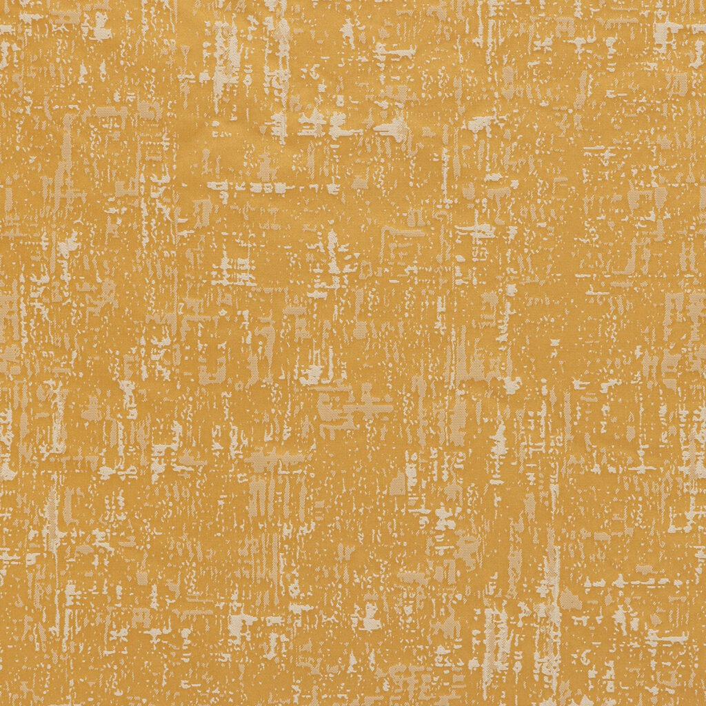 CARLOTTA PLAIN