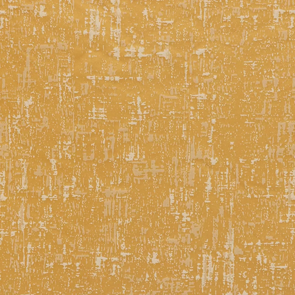 CARLOTTA PLAIN