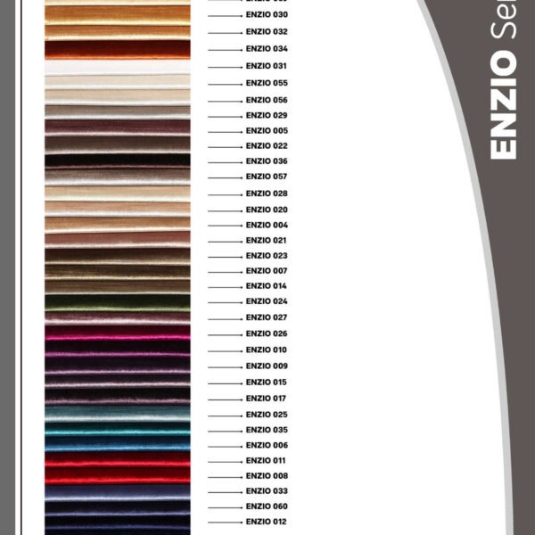 ENZIO (1)