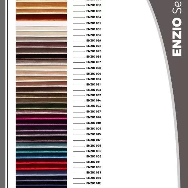 ENZIO (1)